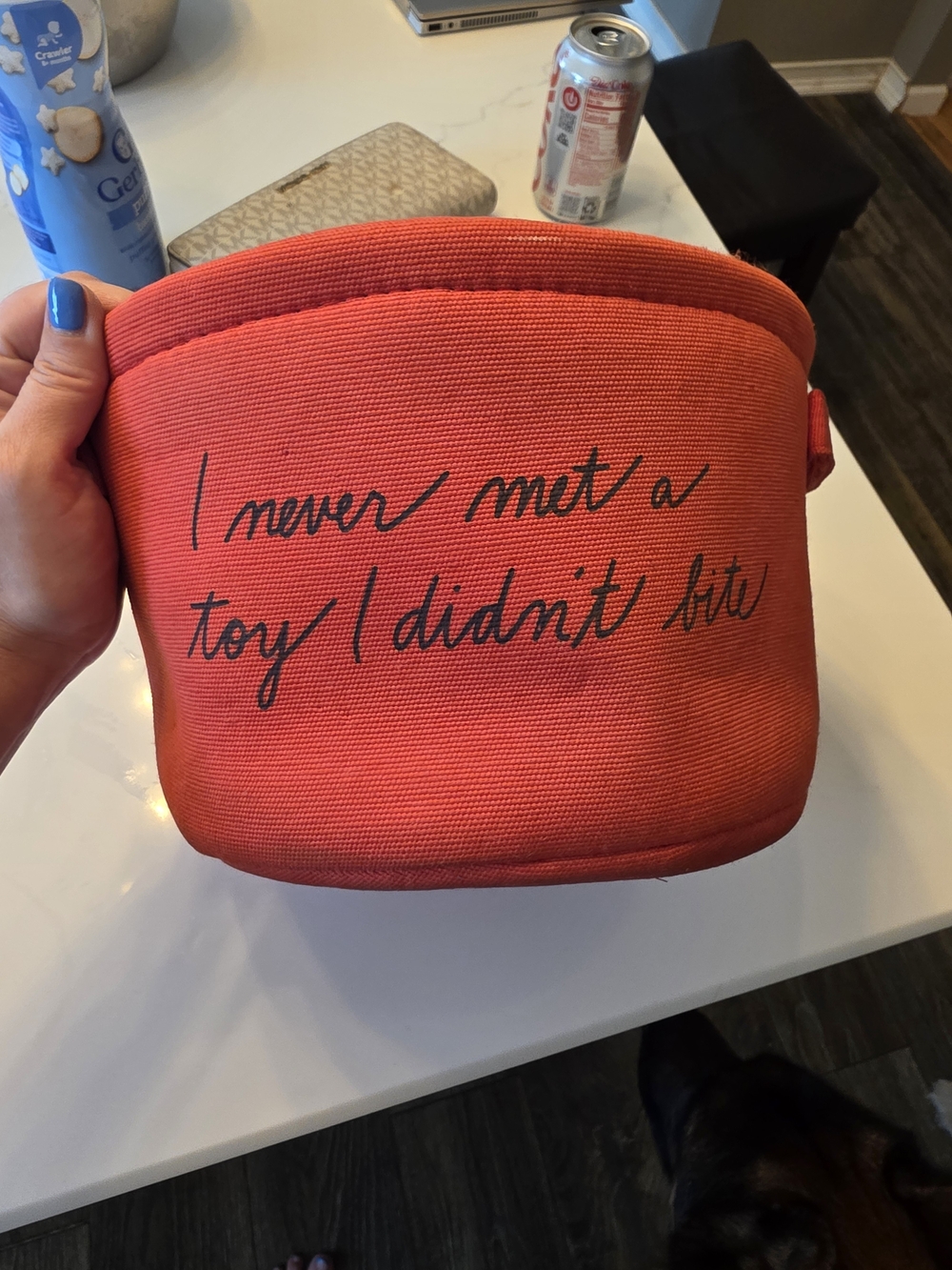 Ellen DeGeneres Coral-Red Fabric Storage Basket with Script